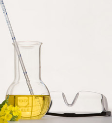 Beaker of oil with canola flowers and safety goggles - biofuels